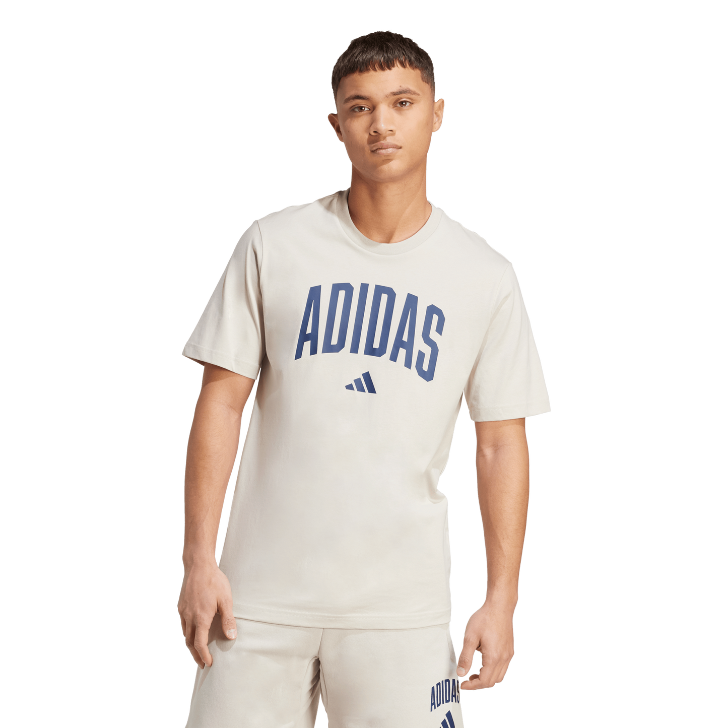 Adidas T-shirt Collegiate Lineage Graphic Beige Regular Fit